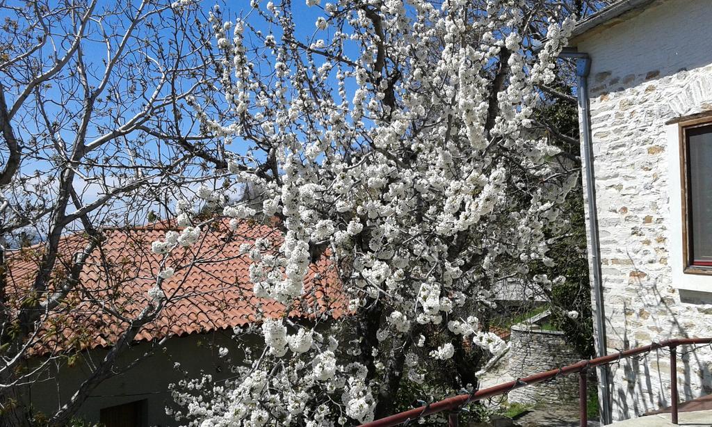 Anovolios Boutique Hotel Агиос Георгиос Нилиас Екстериор снимка